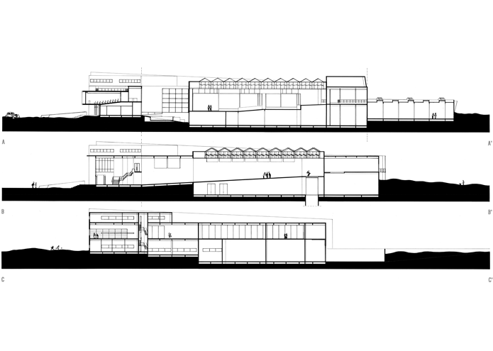 longitudinal sections - photo 17